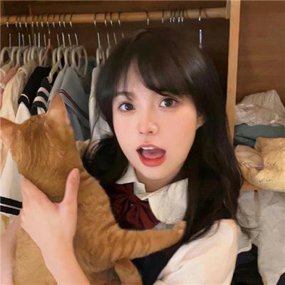 智勇双探